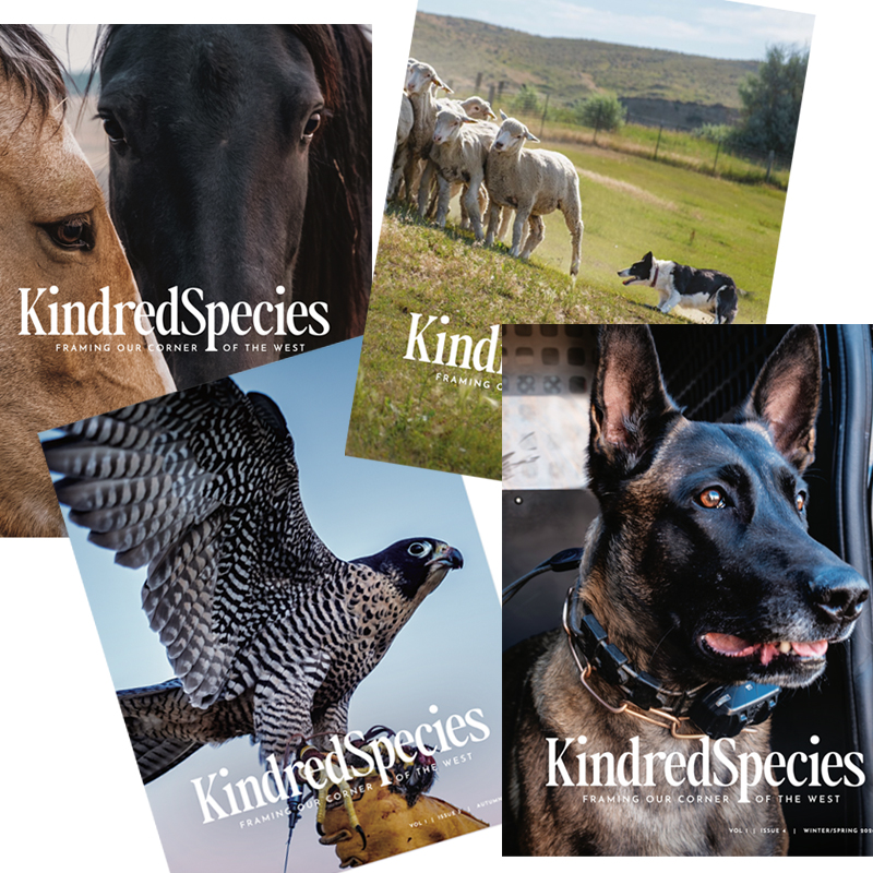Kindred Species 4-SEASON Digital Subscription