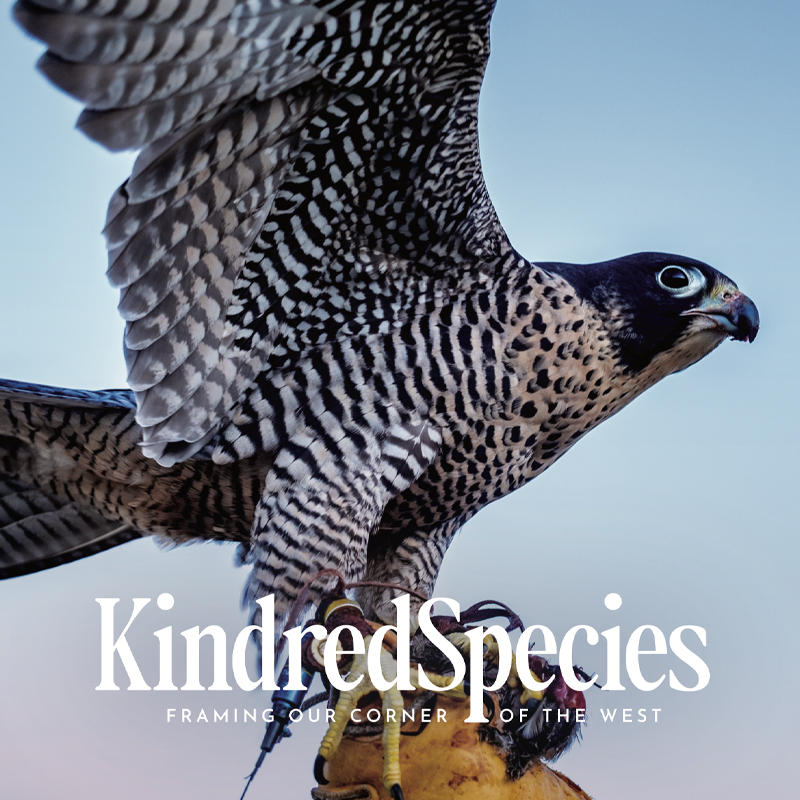 Kindred Species DIGITAL Vol 1 | Issue  3