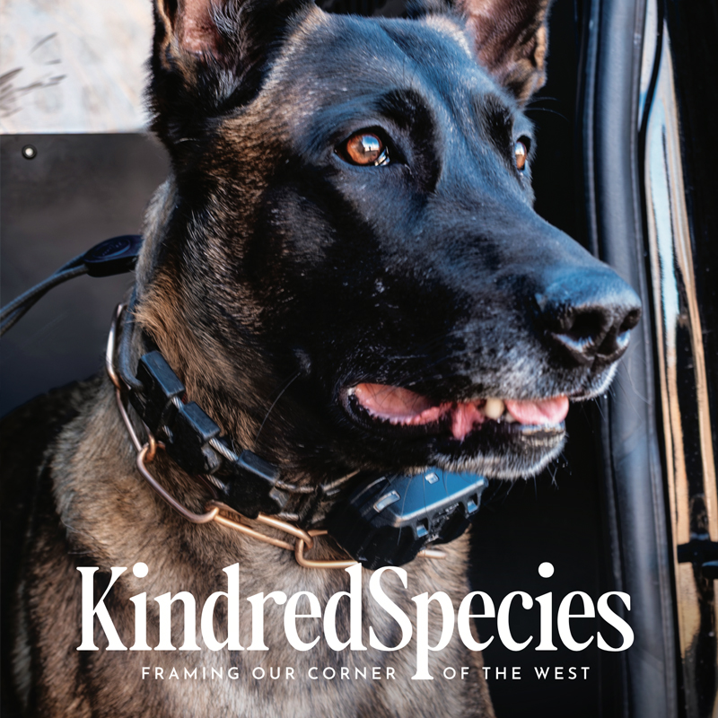 Kindred Species DIGITAL Vol 1 | Issue  4