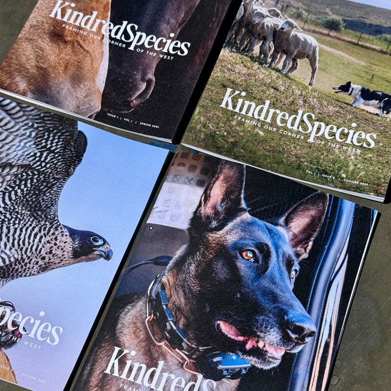 4-SEASON Kindred Species Subscription
